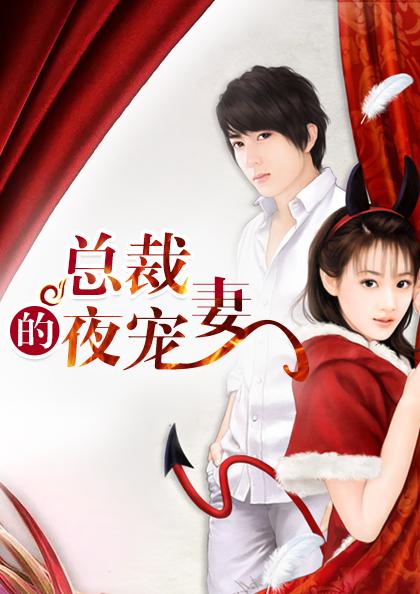 总裁的夜妻