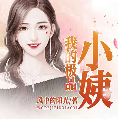 我的极品小姨
