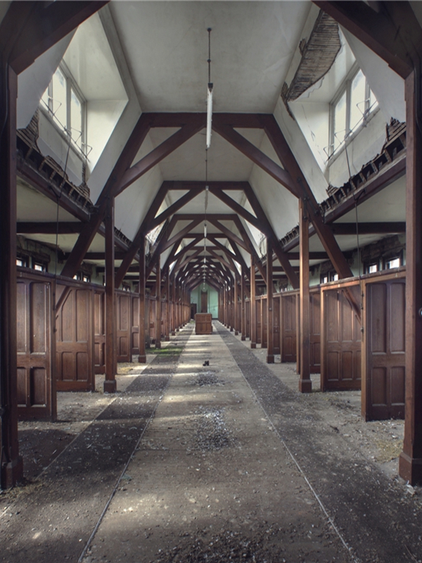 彼岸渡者：阴阳师的灵异档案