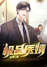 极品医婿