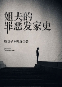 姐夫的罪恶发家史